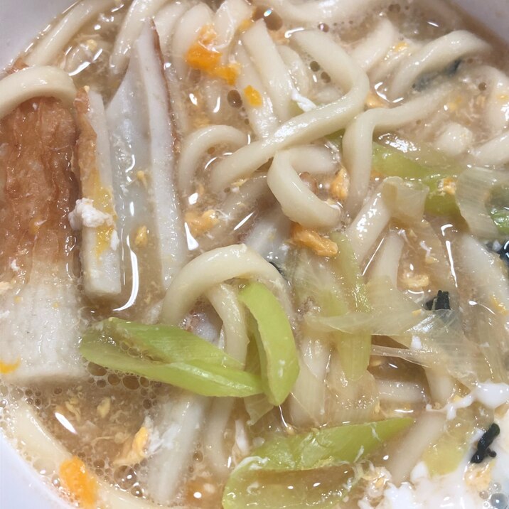 お腹に優しいネギうどん